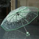 Cherry Blossom Transparent Folding Umbrella - Image 4