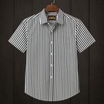 Premium Cotton Half Sleeve Stripe Shirt for Men - Evoleo Express - Image 3