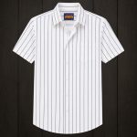 Premium Cotton Half Sleeve Stripe Shirt for Men - Evoleo Express - Image 2